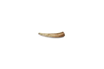1ea Canophera X-Small Deer Antler - Health/First Aid